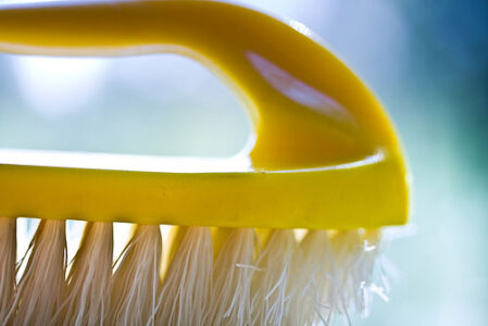 Make Homemade Cleaners with Essential Oils Image